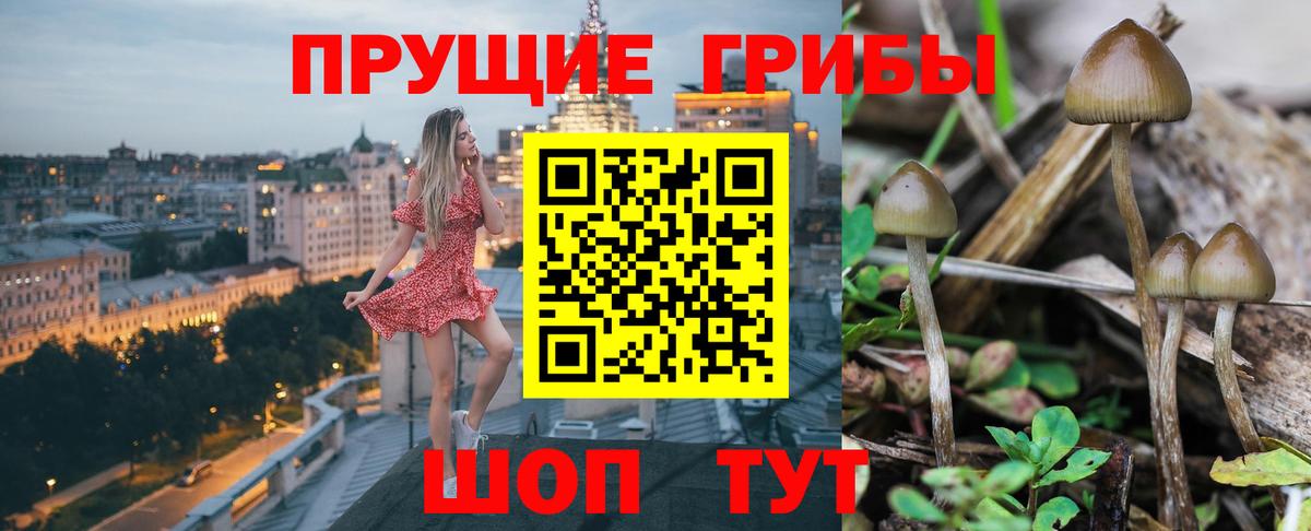 Галлюциногенные грибы мухоморы  Галлюциногенные грибы MAGIC MUSHROOMS  Вход с VPN  цены   Осинники 