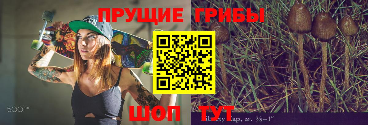 Галлюциногенные грибы Magic Shrooms Осинники